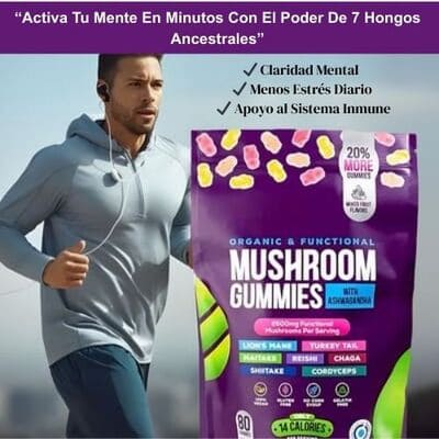 Suplemento Mushroom con Ashwagandha