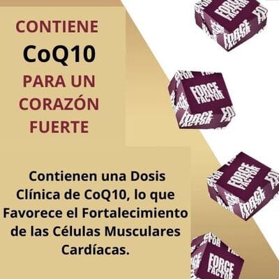 Suplemento Total Beets